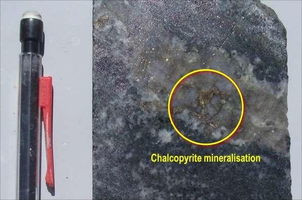 leases Figure 5: Chalcopyrite within quartz vein observed during