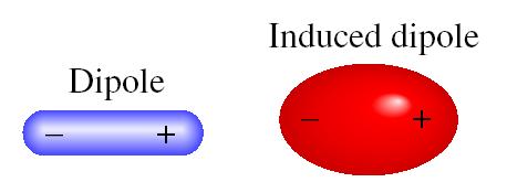 Induced dipole: the separation of positive and negative charges in the