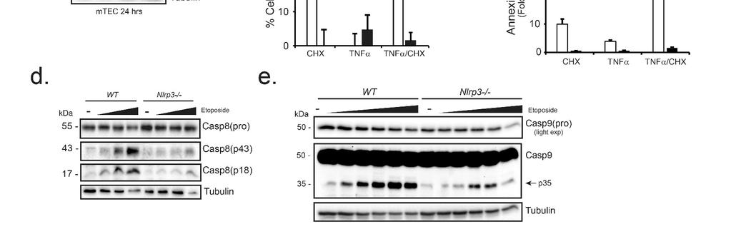 Supplementary Figure 14. Nlrp3 regulates caspase 8 activation via non death receptor induced apoptosis. A.