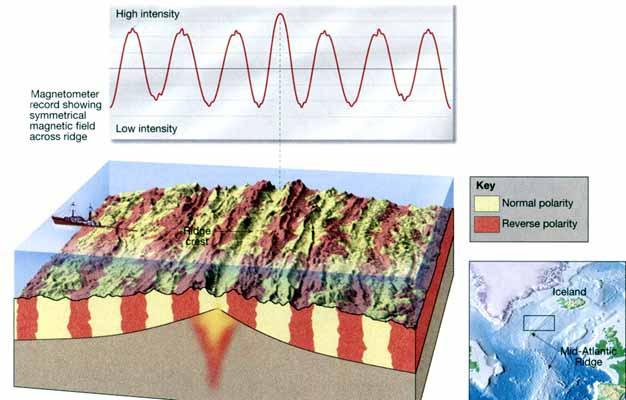Polar Reversal Magnetism Magnetic