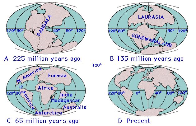 Continental Drift Theory The continents