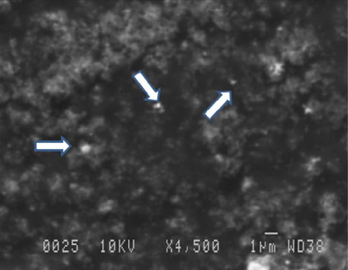 486 2.6. SEM analysis of silver nanoparticles Scanning Electron Microscopic (SEM) analysis was done using Hitachi S-4500 SEM machine.