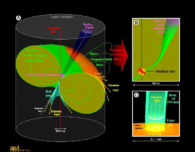 Emission beyond the Magnetosphere Most of the rotational energy are lost through the relativistic