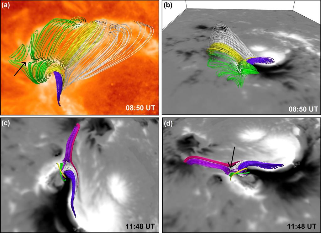 16 Mitra et al. Figure 10. NFFF extrapolation showing model coronal magnetic field structures of the active region.