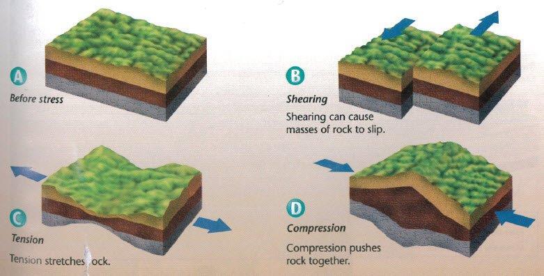 Along boundaries between two tectonic plates, rocks in the crust often resist movement. Over time, stress builds up. Stress is the total force acting on crustal rocks per unit of area.