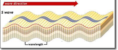The compressional movement of P- waves is similar to the movement along a loosely coiled wire.
