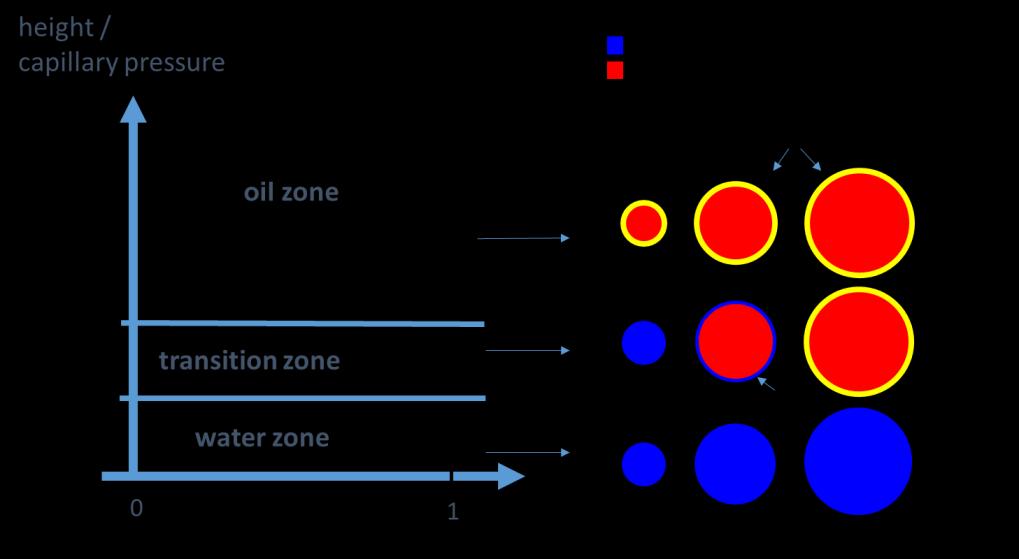 Figure 2.4: Structural position effect on fluid saturations and wettability within a typical reservoir.