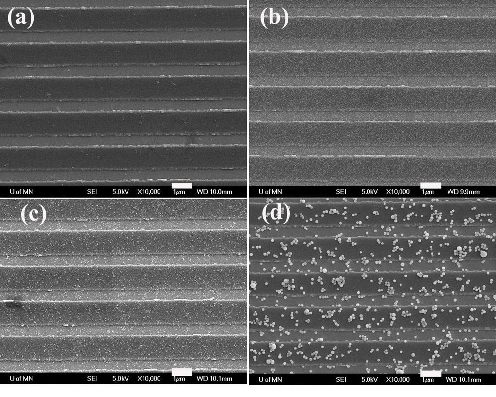 Figure S10. SEM images of different MNPs bound on GMR sensor surface.