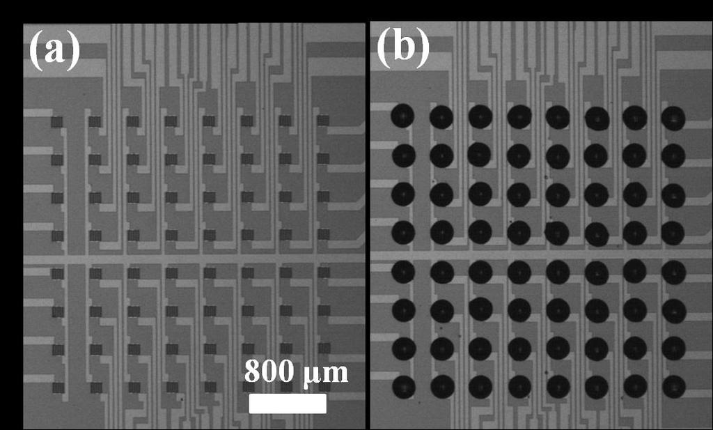 Figure S3. (a) 8 8 sensor array in GMR chip. (b) Probe DNA solution or BSA solution was printed on individual sensor using sciflexarrayer S5 (Scienion, Germany). Each spot containing 1.5 2.