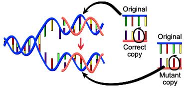 DNA External sources