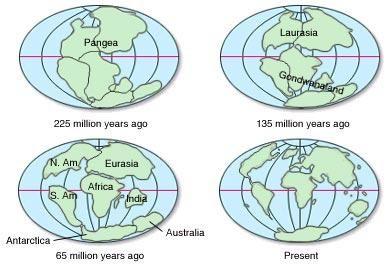 Unit 5: Plate Tectonics A. Alfred Wegner 1. Continental drift hypothesis a. single supercontinent called Pangaea b.