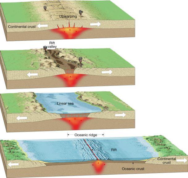 Types of Plate Boundaries C. Divergent boundaries when two plates move apart 1. results in upwelling of material from the mantle to create new seafloor 2.
