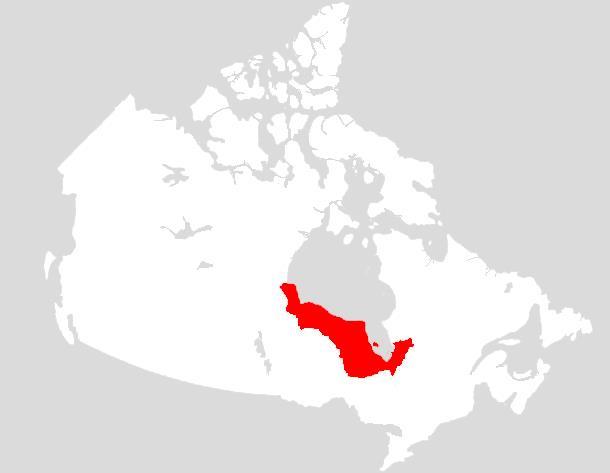 Hudson Bay Lowlands A low area of the shield