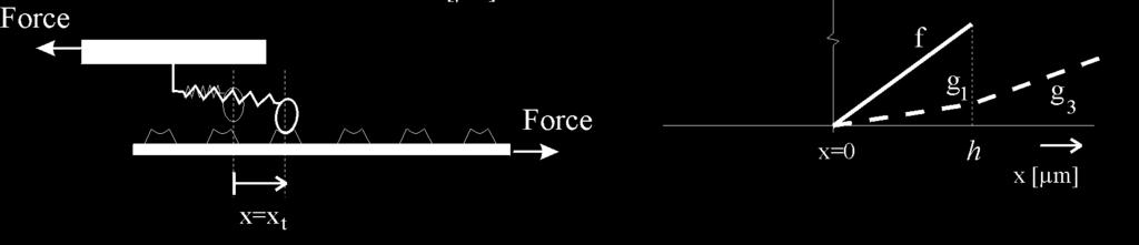 F rel ) Inverse force velocity relation v ce = g -1 (F rel ) Hill-type models remarks Are active state, force-length and