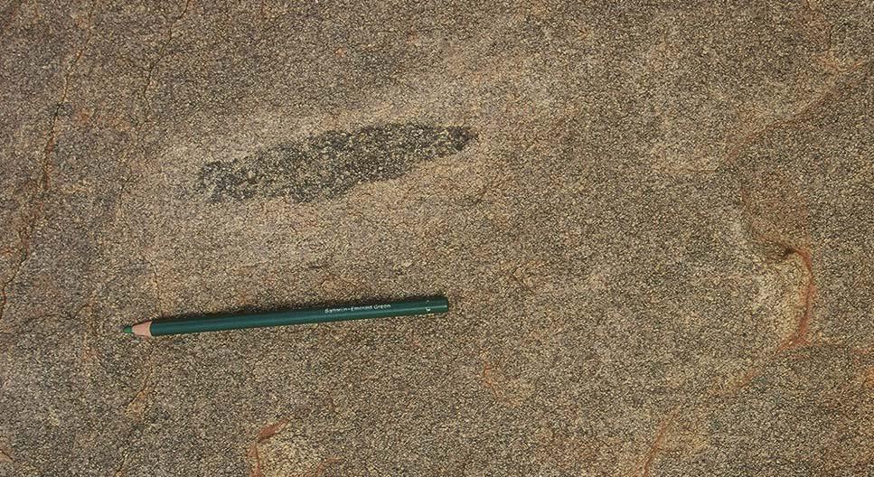 (e) Plane view of flat foliation in a Maddakkanahalli intrusion showing a stretched enclave (XY section) trending parallel to the stretching lineation in the surrounding Sira gneiss complex (midway