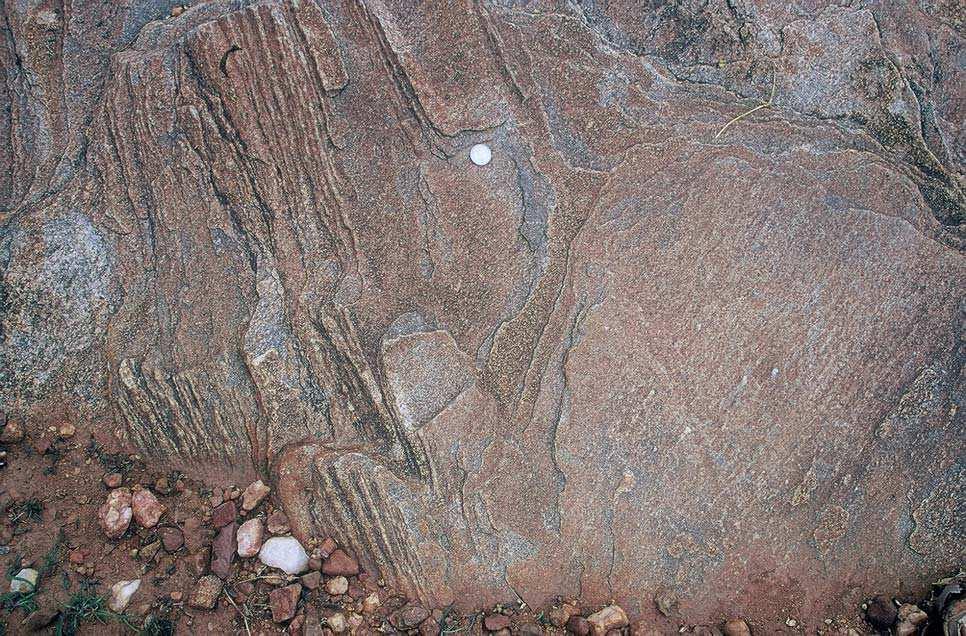 (c) Superimposed mineral stretching lineations on moderately east dipping foliation in the eastern gneisses (unit b), 7 km NNW of Rolla (Figure 3a). Coin is for scale.