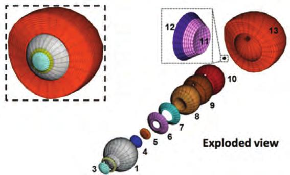 Figure 2: Ocular components in exploded view with associated zone numbers as described in Table 1, (Inset) Assembled view of the eye depicting the extraocular tissues, sclera, limbus and cornea.