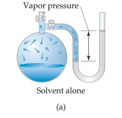 Vapor Pressure Because of solutesolvent intermolecular attraction, higher concentrations of