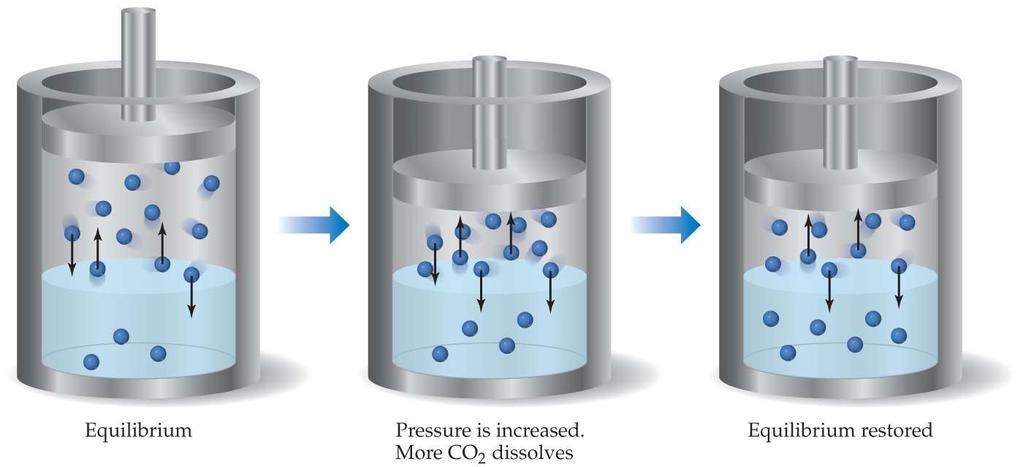 Structure and Solubility Effect of pressure on gases in solution The solubility of liquids and solids does not