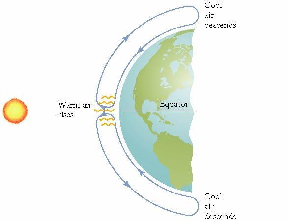 Atmospheric Circulation Net transport Air sinks at the poles,