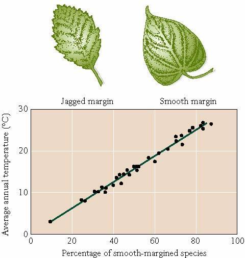 Plants as Climate Indicators Leaf Margins Tropics