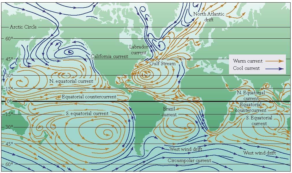 Ocean currents Wind driven Follow atmospheric patterns Trade winds Push waters west; form equatorial