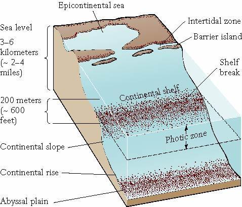 Continental Shelf Submarine extension of continental landmass Shelf break Edge of