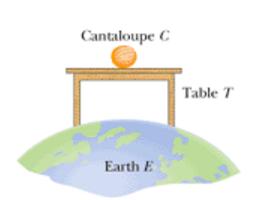 Suppose that the cantaloupe and table are in an elevator cab that begins to accelerate upward. (a) Do the magnitudes of FTC and FCT increase, decrease, or stay the same?