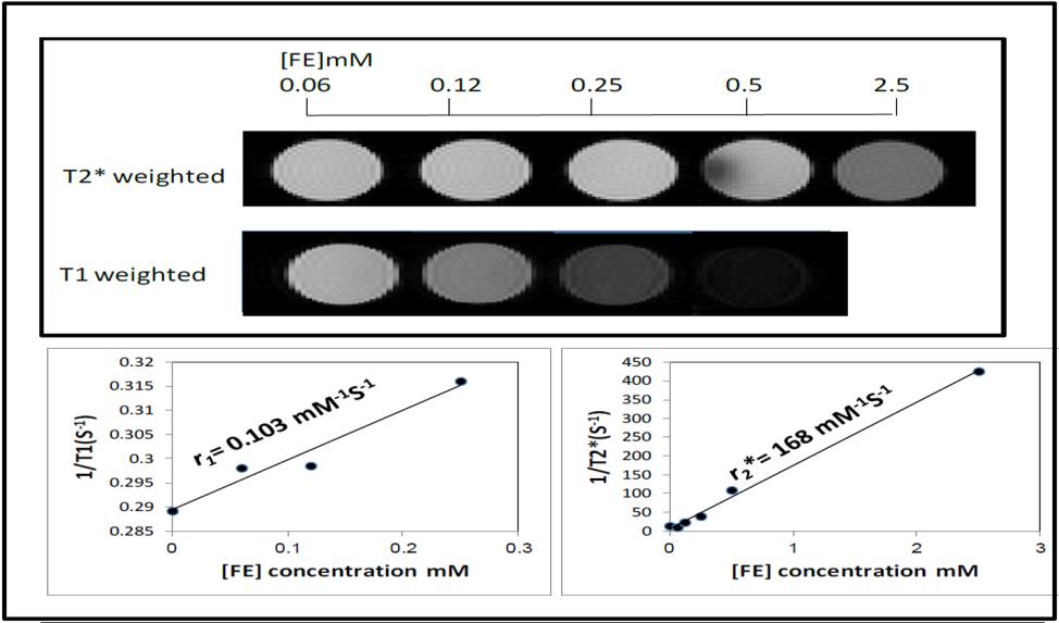 b-pei 25 -CAN DOE -g-fe 2 O 3 NPs - Selected characterization data sirna capture at