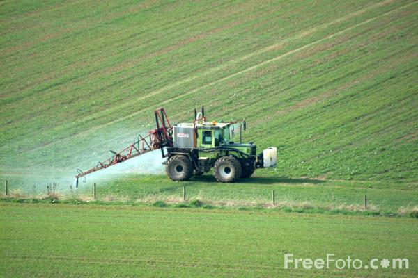 Crops are sprayed with pesticide and man made fertiliser.