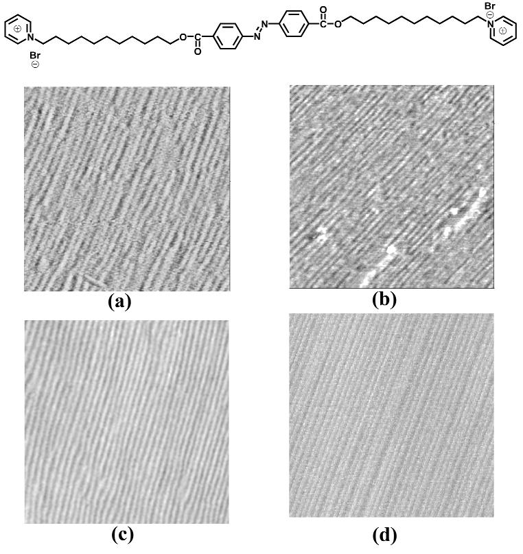Interfacial assembly of amphiphiles 1017 Fig. 2 (a) In situ and (b) ex situ AFM images of azo-11 adsorbed on a mica sheet, data scale 370 370 nm.