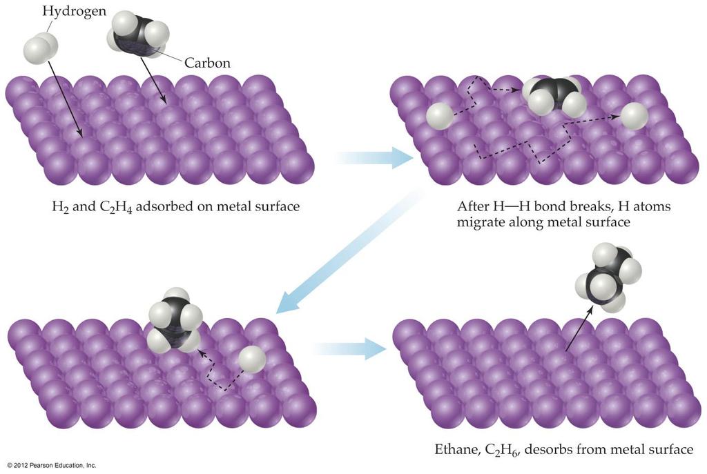 Heterogeneous Catalysis Adsorption of C 2 H 4 and H 2