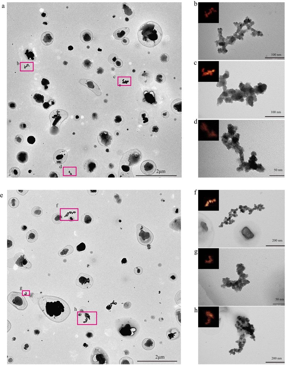Supplementary Figure 2. Transmission electron microscopy (TEM) images of aggregated FeO x nanoparticles found in dry PBL air.