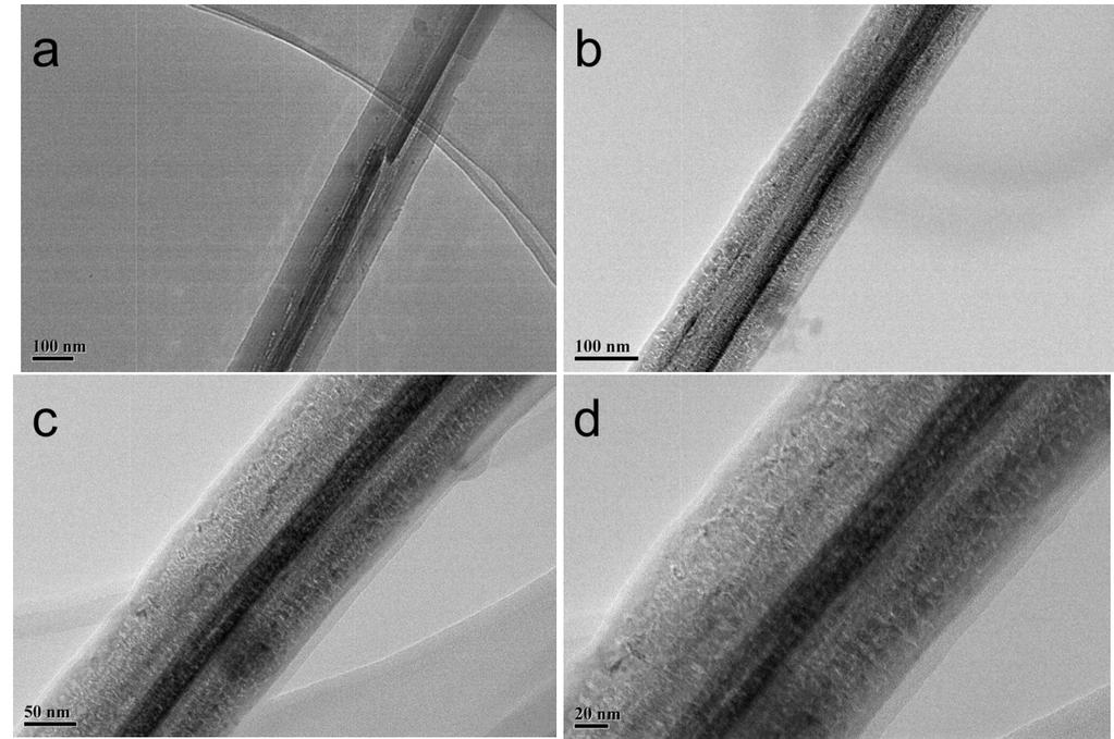Fig. S6 TEM images of a single