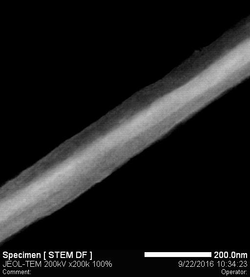 Fig. S7 STEM-DF image of a