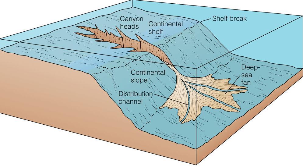 deposits Formation of turbidites: When the material is deposited, it sorts into layers with coarse sediment at