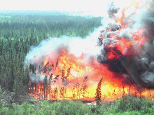 The Problem with Forest Fire Prediction.