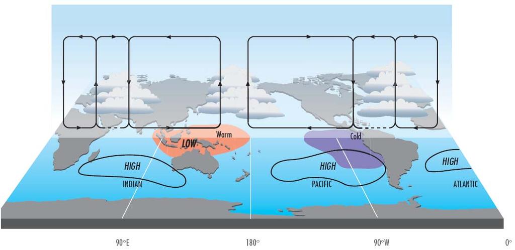 Climate Teleconnections: The Walker Circulation and the El Nino Southern Oscillation (ENSO)