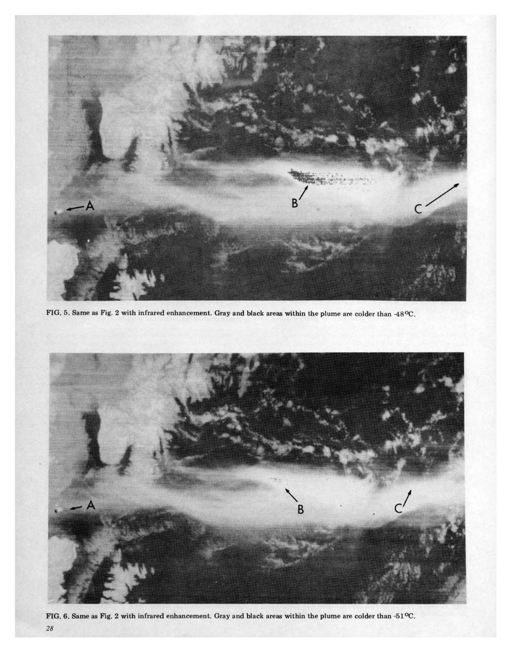 FIG. 5. Same as Fig. 2 with infrared enhancement. Gray and black areas within the plume are colder than -48 <>C.