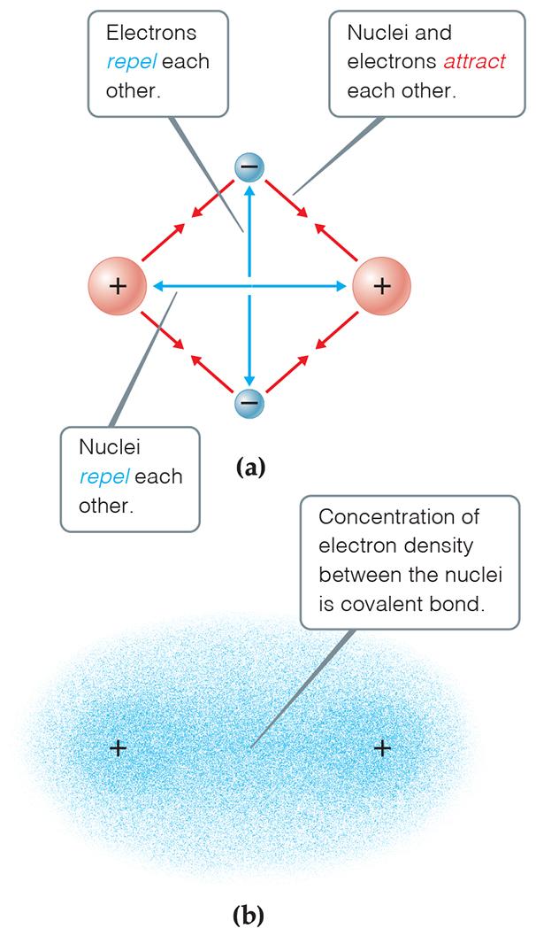 Covalent Bonding In covalent bonds, atoms share electrons.