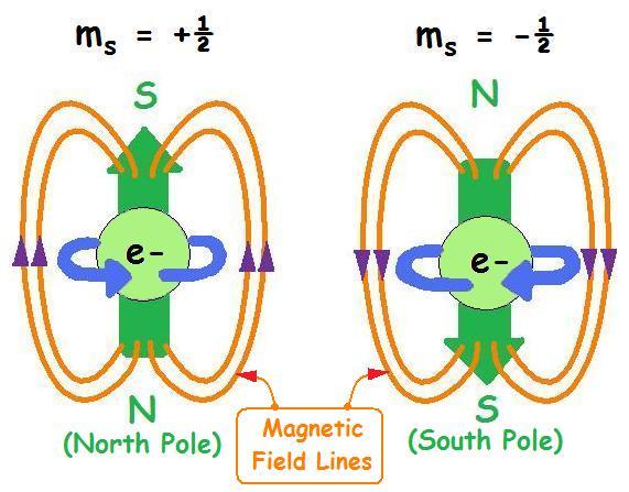 An atom with unpaired electrons are termed as paramagnetic results in a net magnetic field because electrons within the orbital are not stabilized or balanced enough atoms are attracted to magnets An