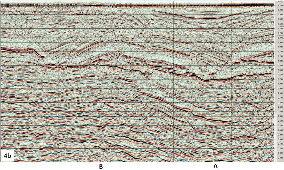 4a) 2D seismic line LI-91-19 (TWT), released proprietary ENI seismic data.