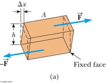 Shear Modulus: Elasticity of Shape Forces may be parallel to one of the object s faces The stress is called a shear