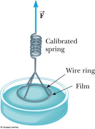 Measuring Surface Tension The force is measured just as the ring breaks free from the