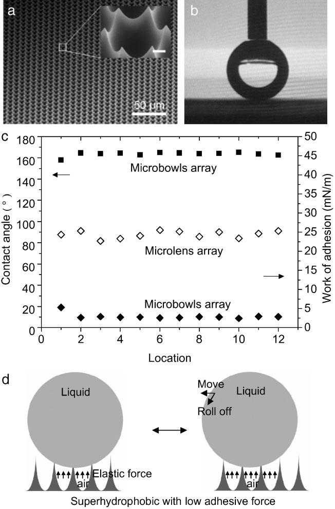 increased, the surface could not reach a state in which the contact angle was larger than 150 8; this is the case where the contact-angle hysteresis (i.e., a strong adhesive force) might be influenced in the transition of a surface from a hydrophobic to a superhydrophobic.