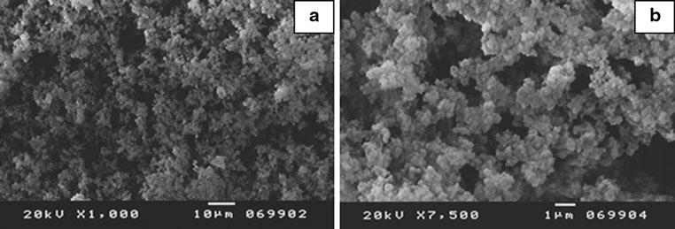Figure 6 shows images of silica based xerogels synthesized from 75% MTMS/25% ETMS mixture (sample III). In Fig.