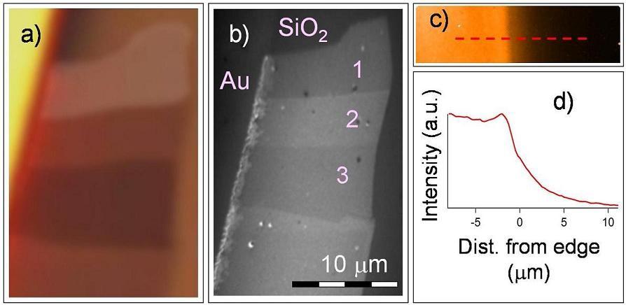 FIG. 1 (a) Optical microscopy image of monolayer and multilayer graphene sample.