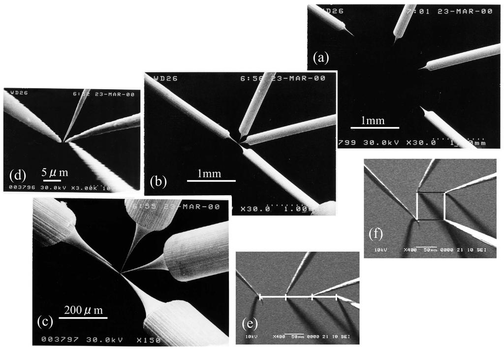VOL. 45 SHUJI HASEGAWA 397 FIG. 9: SEM images of the four W tips of a four-tip STM operated in UHV. (a)-(d) The tip spacing can be changed from the millimeter to the sub-micrometer range [38].