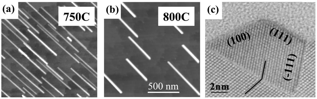 VOL. 45 SHUJI HASEGAWA 391 FIG. 4: Self-assembled CoSi 2 nanowires formed on a Si(110) substrate, reproduced from Refs. [21, 22].