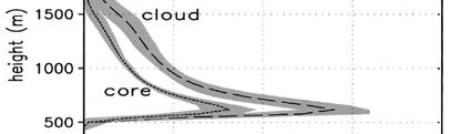 flux = updraft cloud fraction